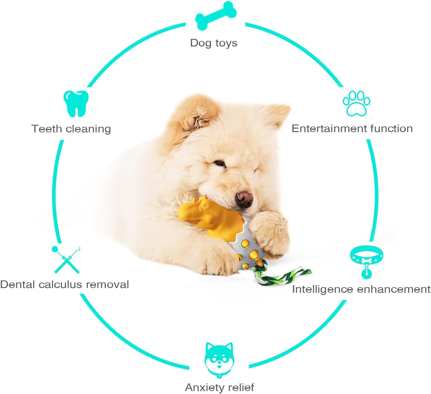 DinoEgg – The Indestructible Chew Egg for Healthy Dog Teeth