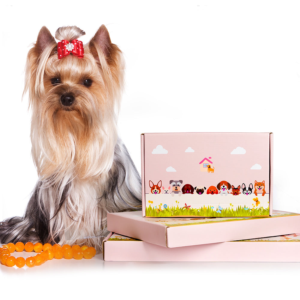 PawPlanter – The Stylish Flower Pot for Dog Lovers