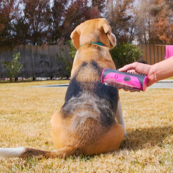 PurrGroom – Gentle Deshedding Brush for Healthy, Happy Pets