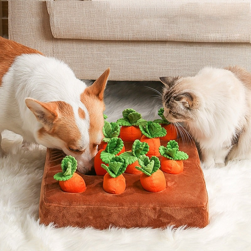 SniffPatch –Digging fun with brains!