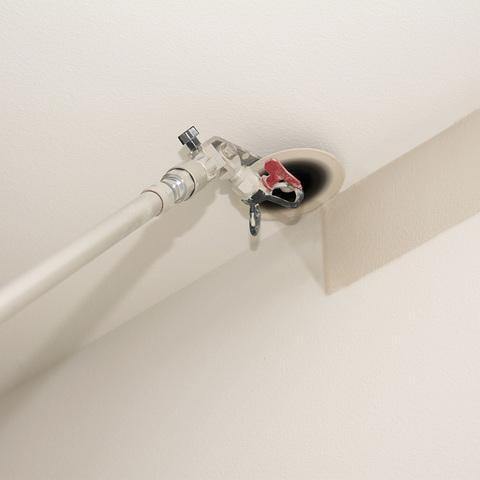 EdgeMeister – Perfect Paint Edges in Record Time