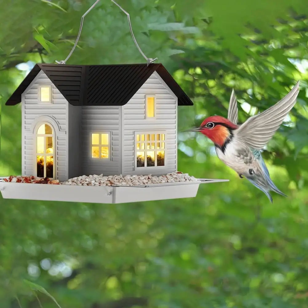 SkyGlow – Your garden, vibrant and bright