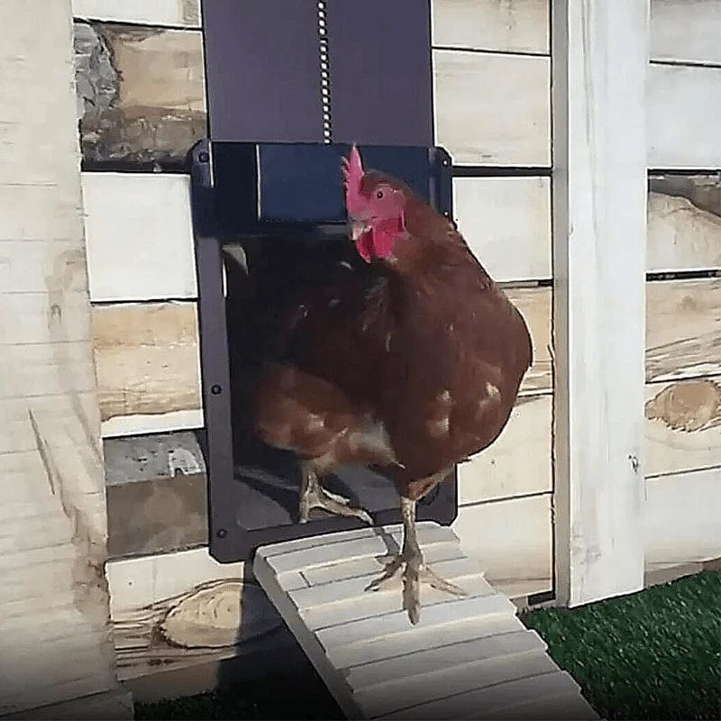 CluckGuard – Automatic Chicken Coop Door for Worry-Free Protection!