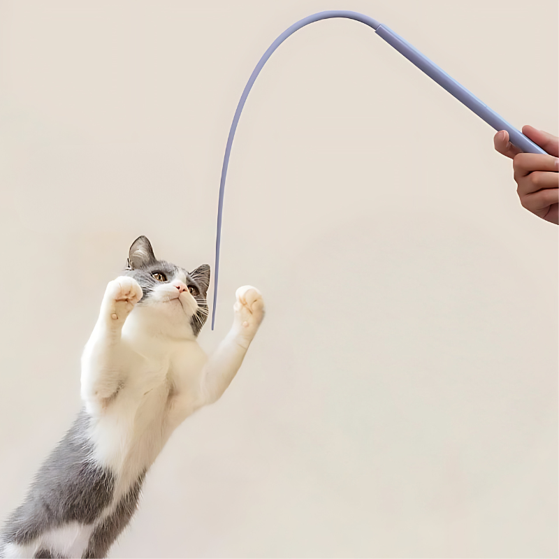 1+1 FREE | PawJoy – Play, Fun & Exercise for Your Cat!