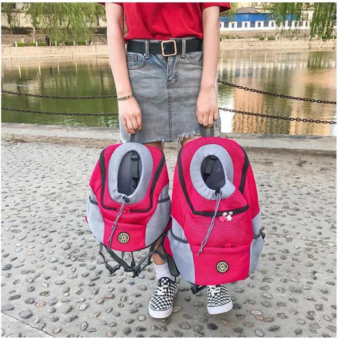 PawCarry – Traveling Together Everywhere