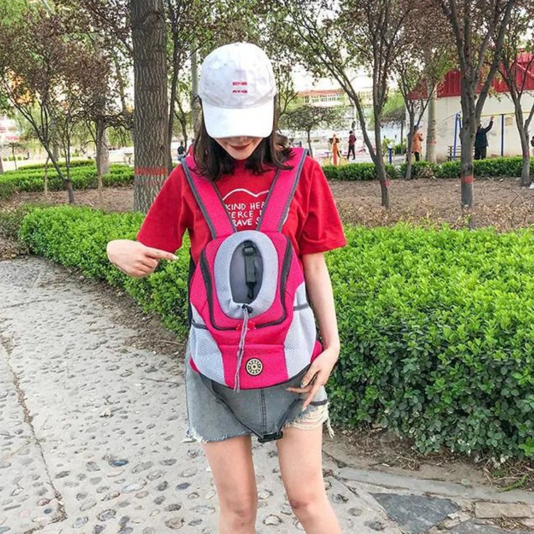 PawCarry – Traveling Together Everywhere