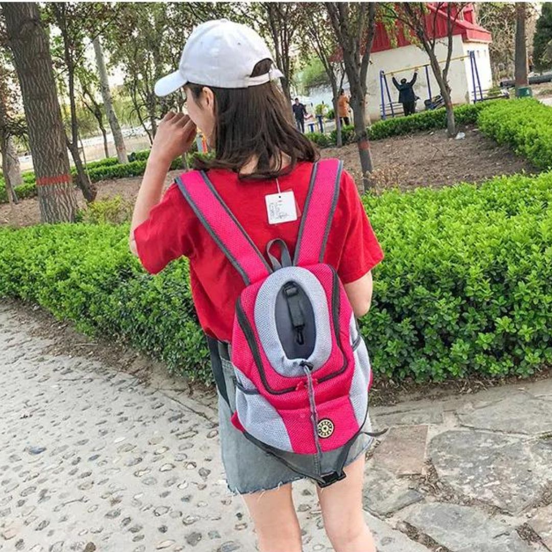 PawCarry – Traveling Together Everywhere