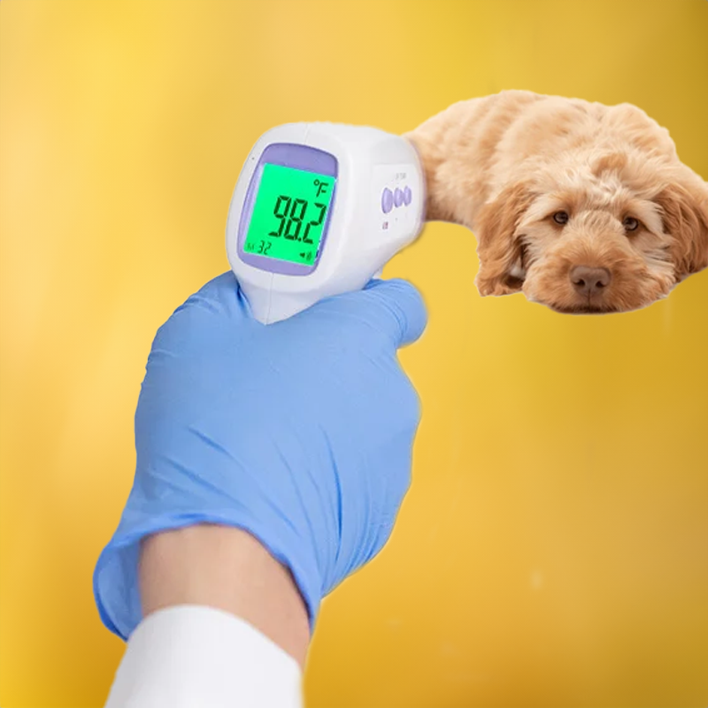 PawTemp – Touch-Free Temperature Checks for a Calmer, Healthier Pup!