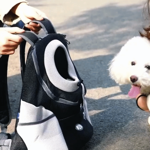 PawCarry – Traveling Together Everywhere