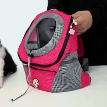 PawCarry – Traveling Together Everywhere